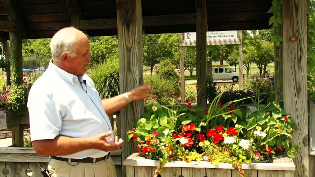 Adding Height to Window Boxes