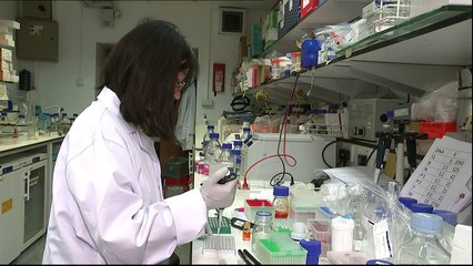 Immune cell breakthrough in cancer fight