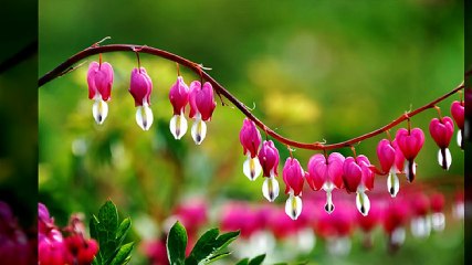 タ강남풀싸롱ル선릉풀싸롱OlO↔3067↔2132하니실장 역삼동풀싸롱 신림동풀싸롱