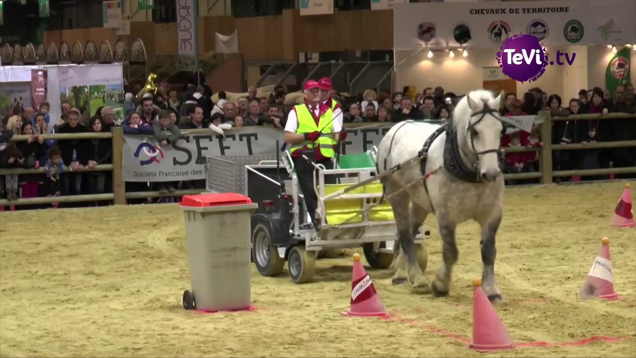 Les Percherons au Salon de l'Agriculture 2016 [TéVi] 16_03_04