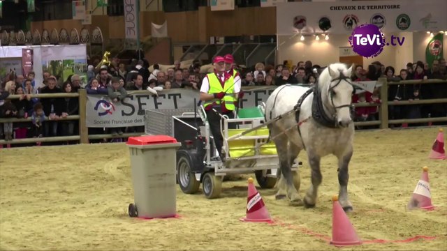Les Percherons au Salon de l'Agriculture 2016 [TéVi] 16_03_04