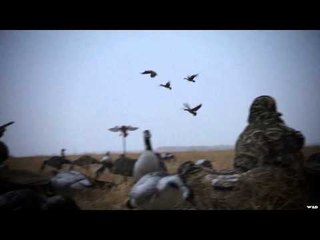 Mojo TV - Winter Comes Early