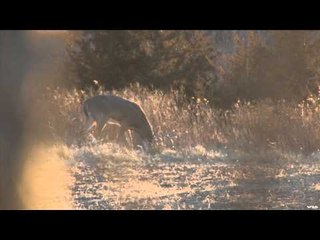 Adrenaline Junkies  - Two New Team Members