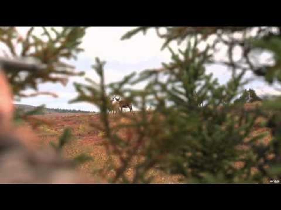 North American Hunter - Quebec Caribou