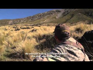 The Choice  - RJ's Red Stag Adventure