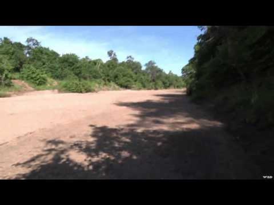 Dallas Safari Club's Tracks Across Africa - Tracks in The Sand