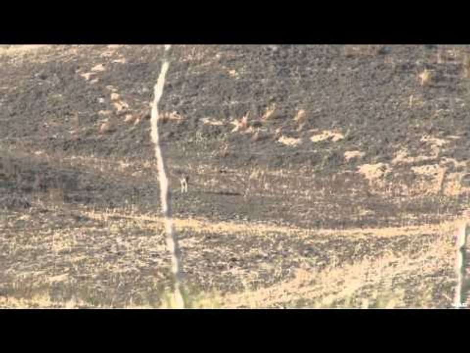 Predator Quest  - Nebraska Sandhills