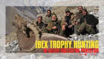 Ibex Trophy Hunting In Gilgit Baltistan