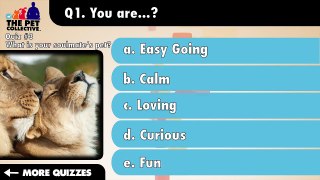 Whats Your Pets Superpower? - Pet Video Quiz