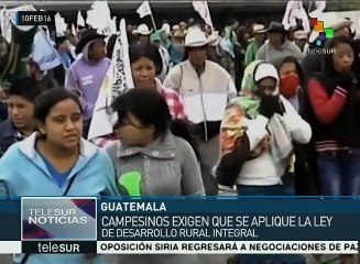 Guatemala: miles de campesinos marchan para exigir reformas en el agro