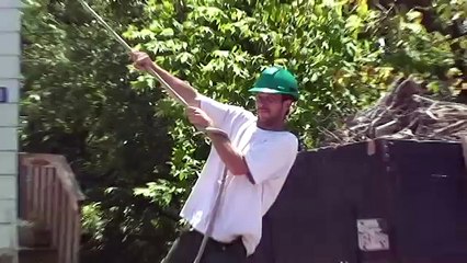 tree lopping rates