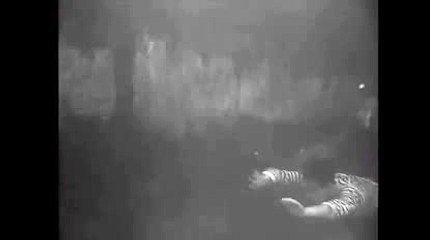 강원랜드블랙잭룰【 KOP77。COM 】헬로카지노