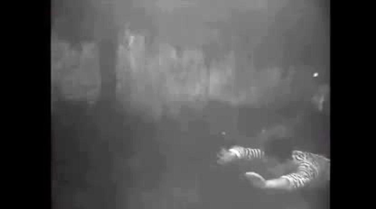 강원랜드블랙잭룰【 KOP77。COM 】헬로카지노