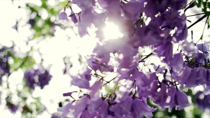Have Your Best Summer! _ Beauty + Lifestyle Tips - Beauty Tips