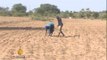 Zimbabwe declares 'state of disaster' due to drought