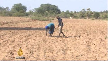 Zimbabwe declares 'state of disaster' due to drought