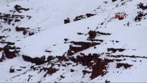 Kars Kar Altındaki Peri Bacaları Kartpostallık Görüntü Oluşturdu