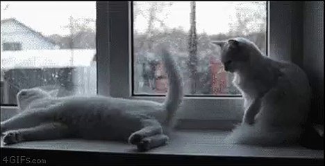 Достал уже 😤