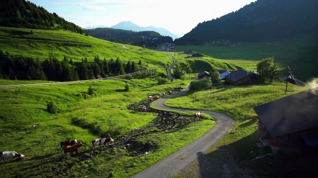 !f 2016 - The Seasons in Quincy: Four Portraits of John Berger