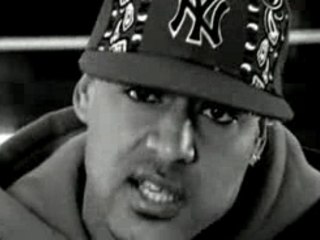 Booba-pitbull-xvid-fr-2006-vds