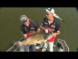 Top Outdoor Producer  - Tennessee Thunder, AMS Bowfishing