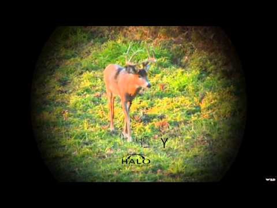 Wildgame Nation - Wisconsin Rut