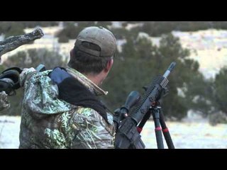 Predator Nation - Fueled By Hornady