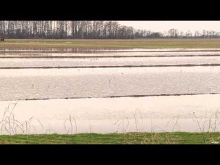 The Gamekeepers of Mossy Oak - Within Reach