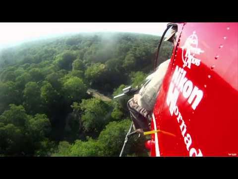 Predator Nation - Predators - Or Are They?