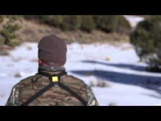 Dead Down Wind's Live the Wild Life - Colorado Buffalo & New Mexico Elk