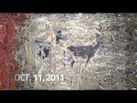 Adrenaline Junkies - Illinois Opening Day