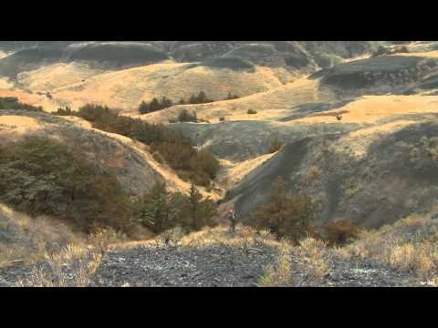 North American Hunter - SD Tribal Mule Deer/Nebraska Coyote