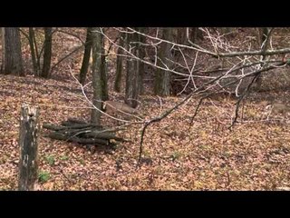Cabela's Ultimate Adventures - Iowa Rut