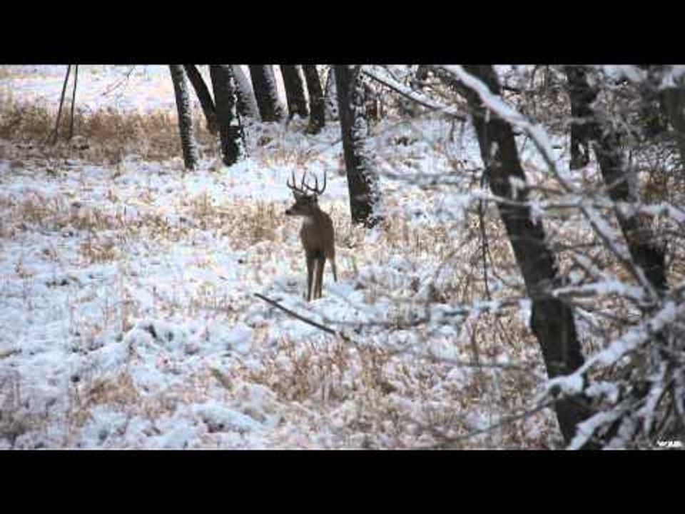 SOLO Hunter TV - Winter Rut with a Recurve with Remi Warren
