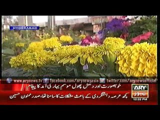 Bulletins – 1200 – Thursday – 11 – Feb – 2016