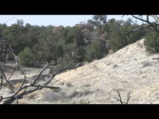 Predator Nation - Fred Misses & Gets Shaved