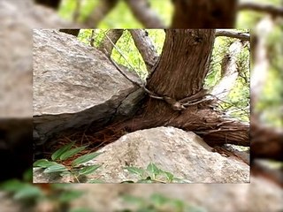 Игры Богов - Акт 5-3 Правильное образование