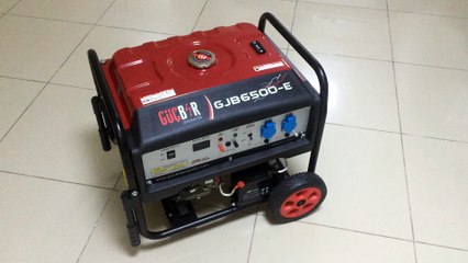 Portable Generator