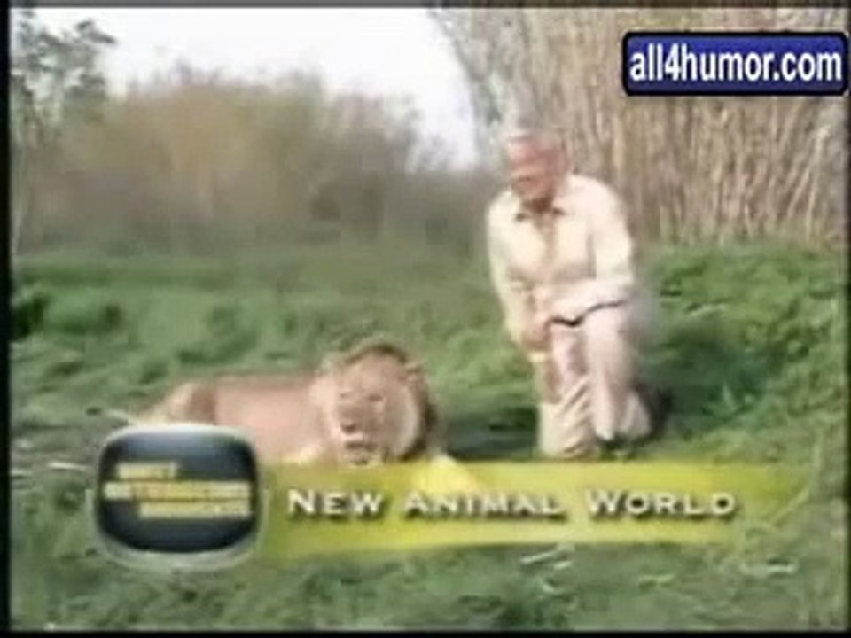 Funny Animals - Comedy Clip - Dog Cat etc
