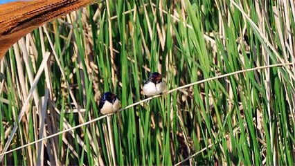 World Top 10 Most Beautiful National Parks