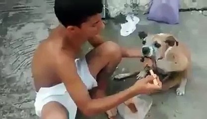 Boy feeds his handicapped dog