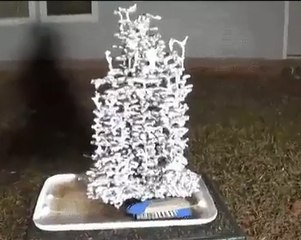 Throwing molten aluminum on an ant colony