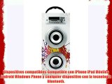 Altavoz Porttil Inalmbrico con Bluetooth multimedia portatil musica HIFI subwoofer Radio