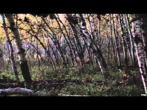 Canadian Whitetail Television - A Giant Life Part 1