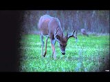 Canadian Whitetail Television - A Journey West