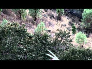 Extreme Outer Limits TV - Long Range Oregon Blacktail Hunt