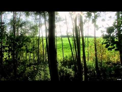 Major League Bowhunter - New Territory, A Duff's Tale