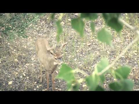 Headhunter's TV - Headhunting Montana Part 1