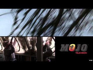 Mojo TV - In the Shadow of Buckingham