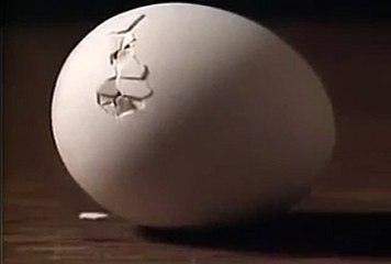 Little Chicken Out Fun